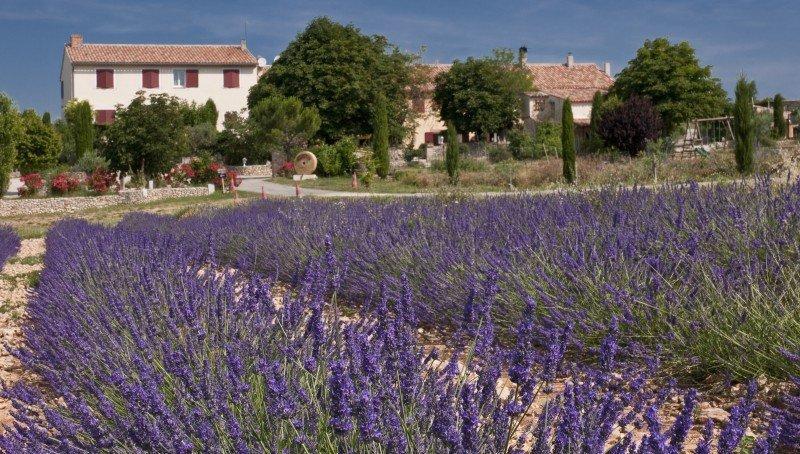Haute Provence: propriété d’agrément et rapport, Moustiers-Sainte-Marie, France,04360 — Moustiers sainte marie — France